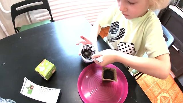 Сеем добро с Дашей! сажаем лук и огурцы!