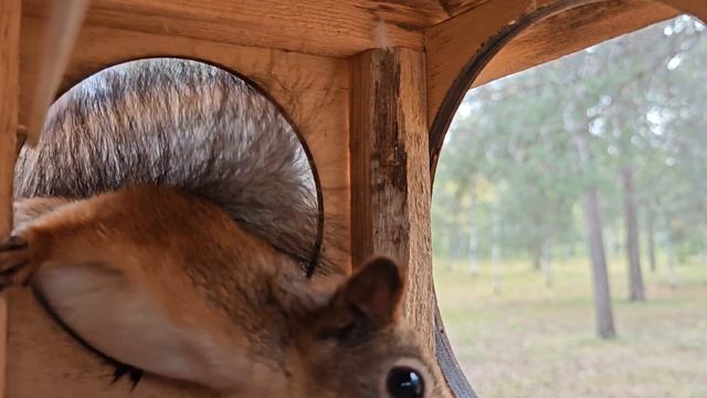 868e7b92291939ef62d030de7e886f41