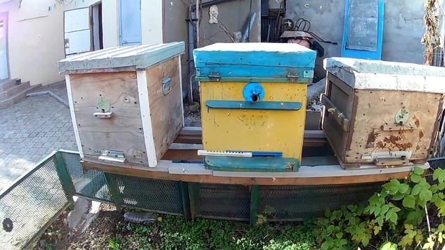 A557cd39503d8c776ddb09541238ea9e