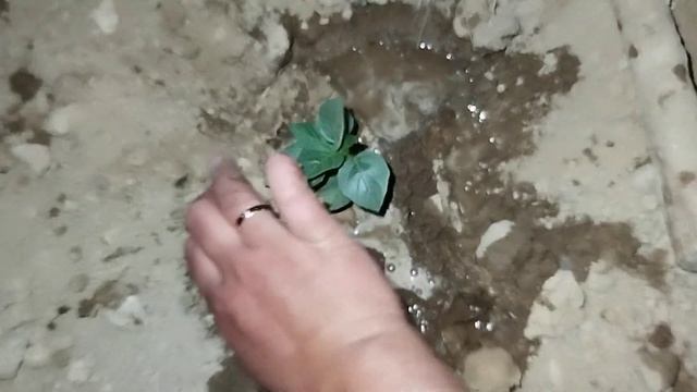 8647baf0780cab7745cc115b4e1a158f