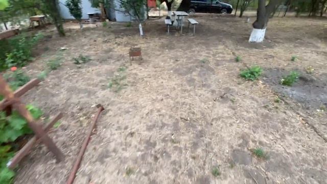 Привожу в порядок заброшенную дачу. Выкапываю пни. Жар