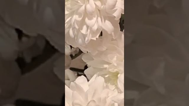 МУЗЫКА ДЛЯ РЕЛАКСАЦИИ 