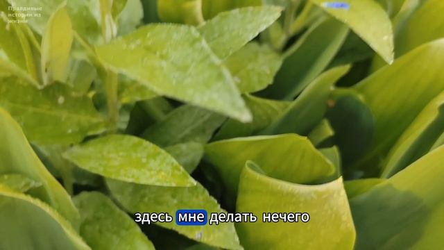 Da8c2d78761d24d3a3a7ca818235f313