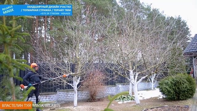 СЕКРЕТ ОБРЕЗКИ ЯБЛОНИ И ГРУШИ | КАК ПРАВИЛЬНО ? | ЗИМА В?