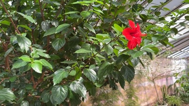 004d7c1f53608ad26b39edc6e4530de3