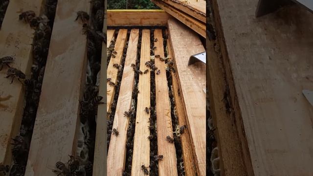 Улочки и рамки