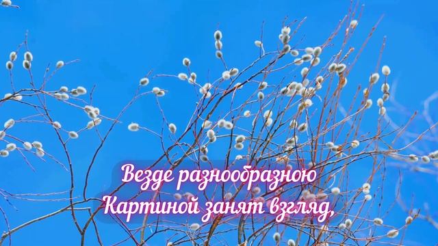 106eed1b8bd685f1e62cf0767024081a