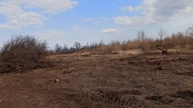 ELEX81A корчую сад 2га, сколько времени занимает корчеват?