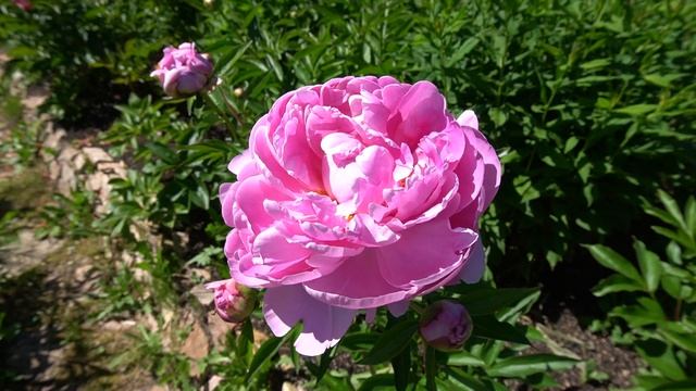 134e584e2fd4a914a9f83c890fedbb2e