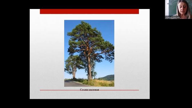 62a5a45447c435d2815ddbb3136916c2