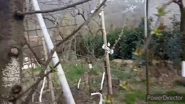 2057637f66898ecff78e09bda0f9b710