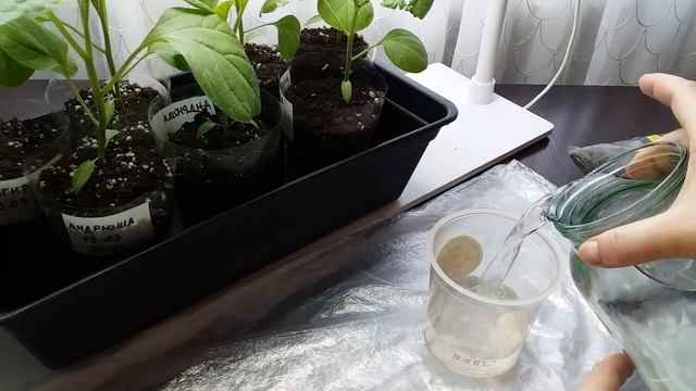 Cd339cfe8688cd6cc6c243647606d081