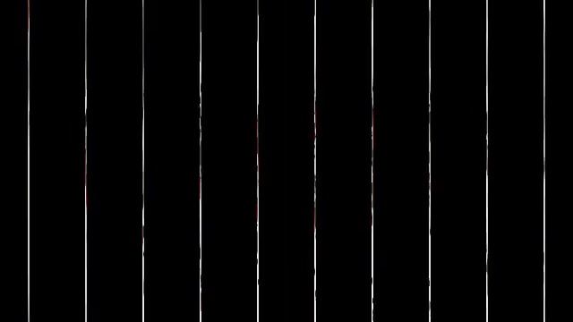 Зимние цветы