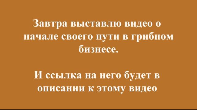 Выращивание вешенки в мешках - расскажу в этом видео о
