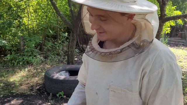 Выпуск6️⃣Пасека для новичков, нападение пчелы❗❕❗