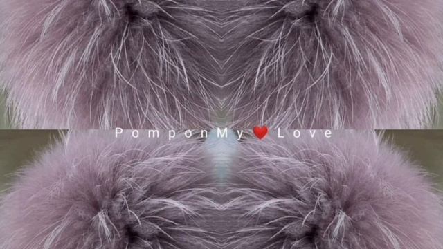 Помпоны Натуральный финский енот альбинос Пыльная ро?