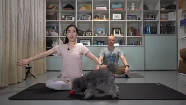 Упражнения для рук и грудных мышц