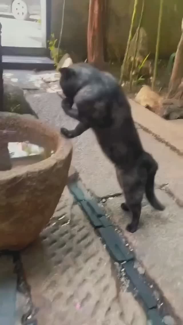 Всем спорт)