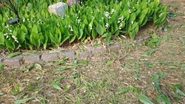 9ef0d1f2ddc9204949e7582f6e6ee9fe