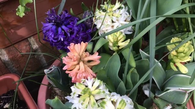 Метод «Лазанья» | апрельский обзор