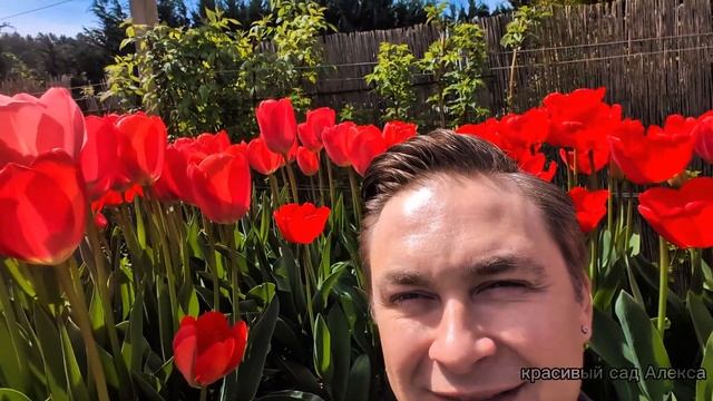 контейнерный САД своими руками - часть первая 🌸🌸🌸 Co