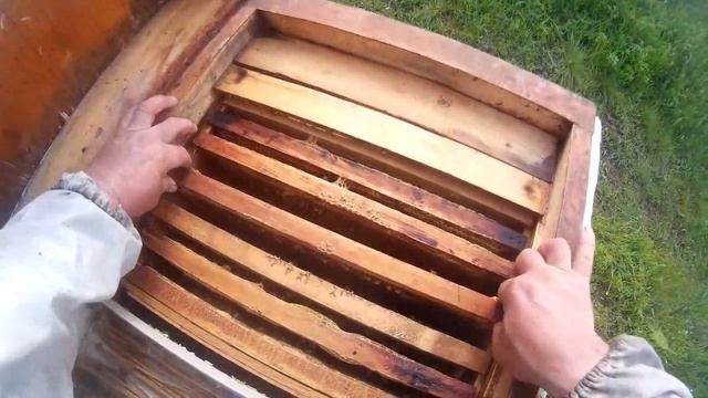 7e01679a7926f0ff3afb2804d4bbf9ef