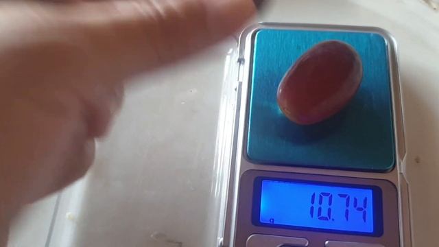 Алвика ниҳол қаламча ва пайванд 🤝