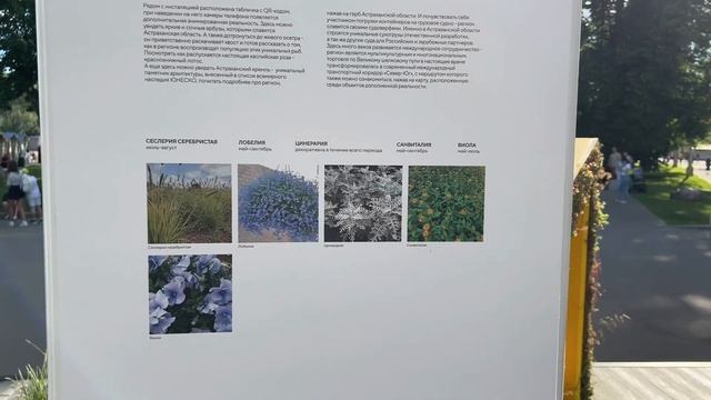 2b115e95cc94803ab2b1151a200e4eac