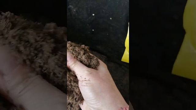 0970adc0dc959d0c2609be4a1a0aa932