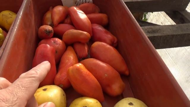 77dce8389674308fe54e5c2474538329