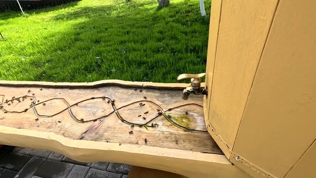 Мёдом в Ухо пасека 2024 Горный Алтай #GeierTrip