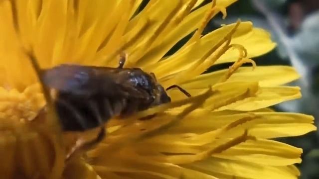 Bb2dbe5db99d5bc04a7863571331f3a8