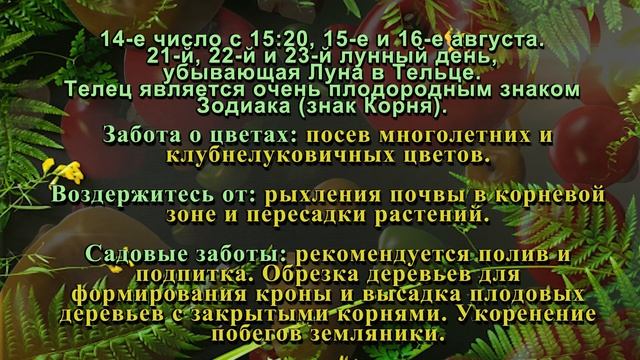 Агрогороскоп Август 2025: Лунный посевной календарь для