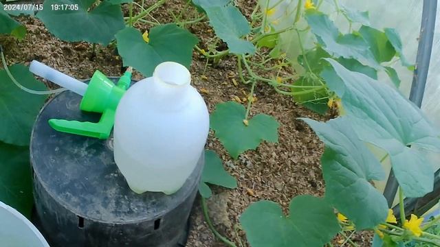 236066813840b4e6dd6d0fc873878281