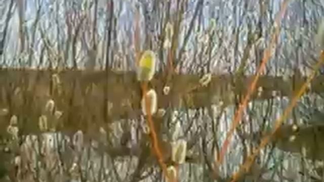 23779c5b6020739aa361919df110971f