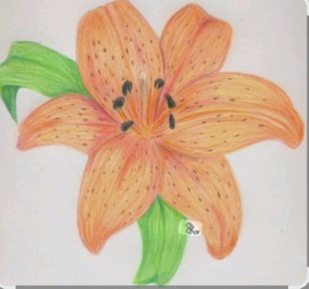 Cc7014d0432f8911a3738ac4c6f509cb