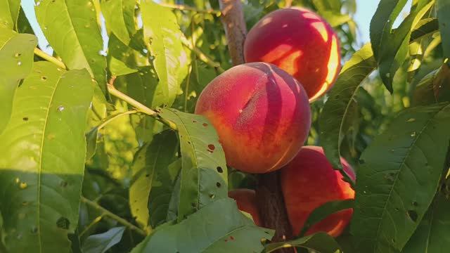 05b28f2b6f9749a3c1e7b6989daad09c