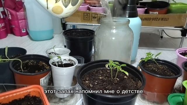 3716992930080cfcd8a30b3400c6acfc