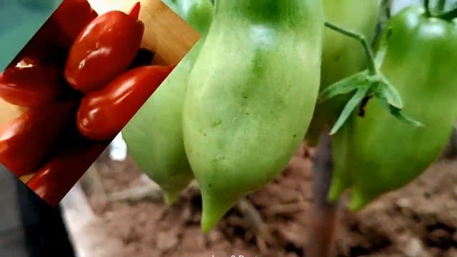 2859f98c6971242398993ef6ad51cc2b