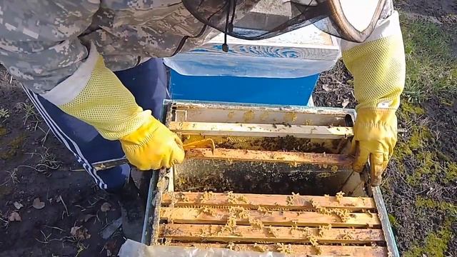 9778ab03eb1e3952651ae639592cfcc5