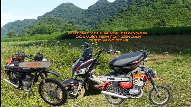 Motorcycle Минск 125 Chainsaw Dolmar Zenoah Newtop Oleo Mac Stihl Thorp