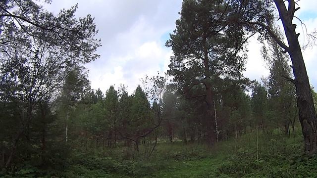 2025_09_01_2857_2875_Юрюзань_финиш_сплава