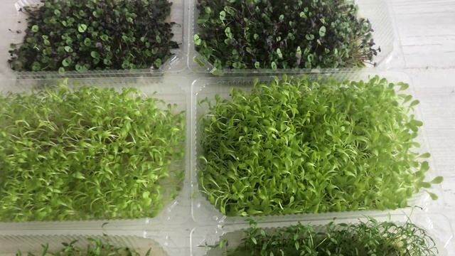 A84f1cc6b6f648ddb75e8604fa644e2b