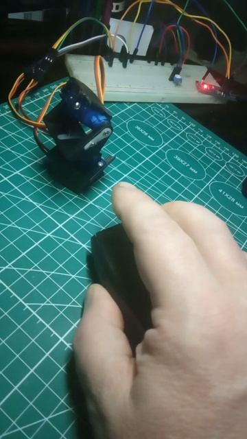 WEBcam +Python  + Arduino + Servo