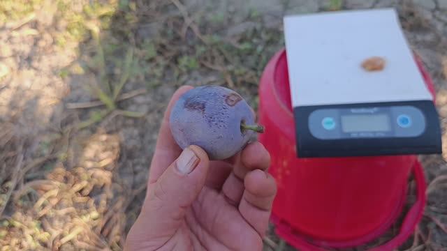 1a24c1870767bdce2b6aab51be6a7f5c