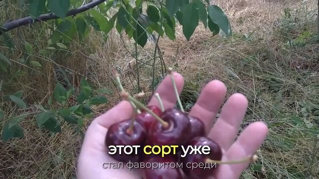 23a494e44d6ff77b2ba5cf2775b7cacb