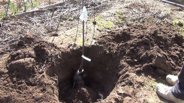 B2d372e428c8b9710fc50dfaa3e062b6