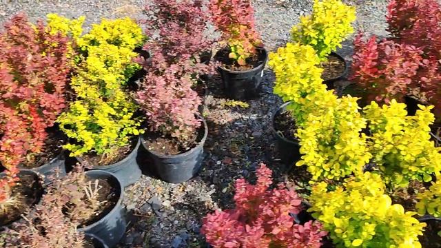 Закрытие весеннего сезона и приятные цены у Алексея.