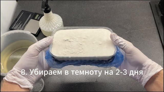 Как выращивать микрозелень горчицы на агровате