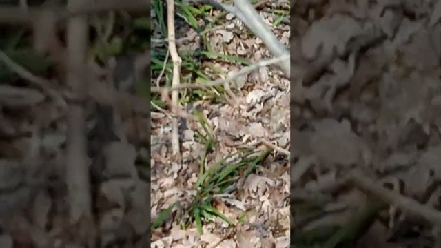 Df5defc979cf97c30a8aef90a17c2cd0